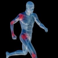 shutterstock_197647856 shutterstock_197647856